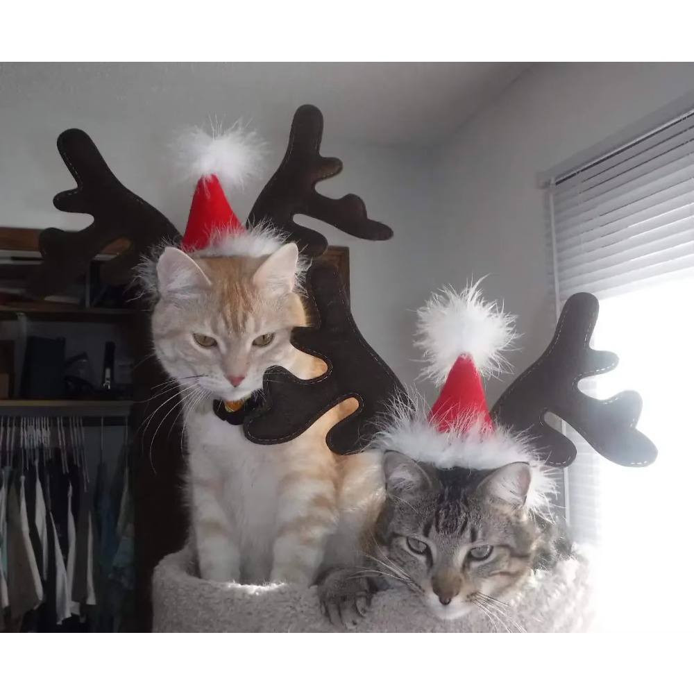 Reindeer Antlers Headband - 산타 모자가 달린 반려동물용 크리스마스 사슴
