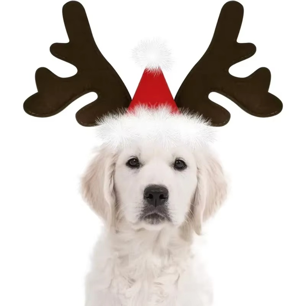 산타 모자가 달린 반려동물용 크리스마스 사슴 뿔 머리띠 - Reindeer Antlers Headband 리뷰 및 가격